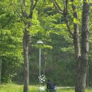 만월산배수지체육광장 이미지