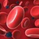 항산화도반욕 이미지