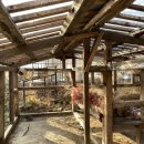 밭멍스테이 이미지