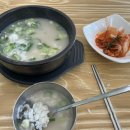 청우 동물병원 | 열흘이 날라갔슈,,,의 일상(타볼라, 청우, 청주브레이크없는식당, 부읽남, 유기견)