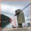 흑진주마리나리조트 네이버블로그