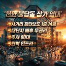 강남미래공인중개사사무소 | [천안 불당동 상가 임대] 사거리 횡단보도 1층 14평 · 대단지 배후 무권리 주차 90대 완벽 인프라