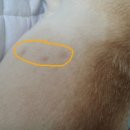 김민재동물병원 이미지