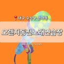 오렌지노래연습장 이미지