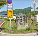 세중초등학교 | 마로면 세중리 선정비군(馬老面 世中里 善政碑群)