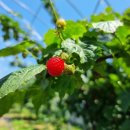 그린농원 이미지