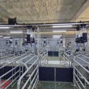 밀양축산 이미지