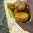 강아지탐험대동물미용업 | [대구 가창 네이처 파크 재방문] + 새로온 친구(비단 마모셋), 아기백사자들, 할로윈