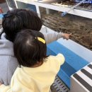 대선회집 이미지