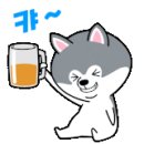 소백산얼음막걸리 이미지