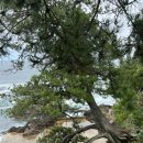 평화민박 이미지