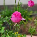 의료법인 큰나무의료재단 이미지