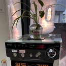 거북이동네울산삼산 이미지