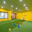 더블스테이 또또멍 애견펜션 이미지