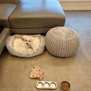 다모아탑공인중개사사무소 이미지