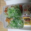 지붕위에파닭 이미지