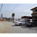 장어에빠지다 이미지