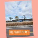 헬로도담아트