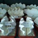 울산해양박물관 이미지