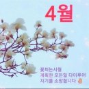 부천 원미산 진달래 축제ㅡ경기도 부천시 춘의동 원미산 ㅡ일대에서 매년 4월경 ㅡ열리는 꽃축체 ㅡ 이미지
