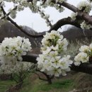 고운 농장 이미지