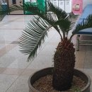 보이지 않는 것과 이미지