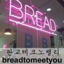 브렛투미츄 이미지