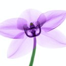 경주한의원 이미지