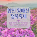 5월 황매산(철쭉축제) 정기산행 이미지