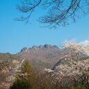 [평일산행]다도해 해상국립공원 고흥 팔영산 무박산행 2024/05/16 이미지