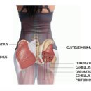 바디밸런스3.0 이미지