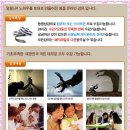 일본어 입문 이미지