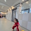 태양(태권도) 이미지