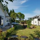 수망가라 이미지