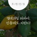 서주길(와룡면) 이미지