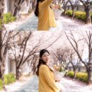 개인 | 천안아산 개인벚꽃스냅 촬영 후기｜천안아산 벚꽃스냅으로 남긴 봄날의 기록 by. 연온필름
