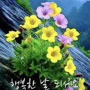 이월십팔일