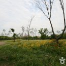 부평공원 이미지