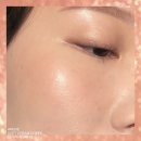 지지피 소프트 네이버블로그