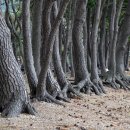 금장해수욕장 이미지