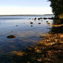 ji(나만의) 이미지