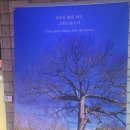 나무의노래 | 나무의 노래 시사회 후기