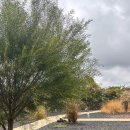 푸레 | 제주 숙소 [푸레] Pulae2