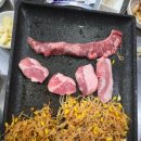 산본꽃돼지 이미지