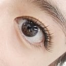 강동-길동-66 이미지