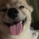 현풍 동물병원 이미지