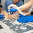 녹십자동물병원 이미지