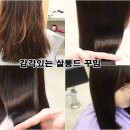 살롱드꾸밈