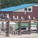 광성펜션 1 이미지