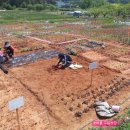 왕버들2농장 이미지